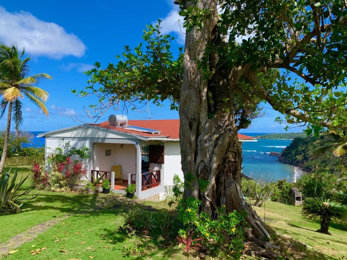 Sea Cliff Eco-Cottages & Gin Distillery Calibishie Екстер'єр фото